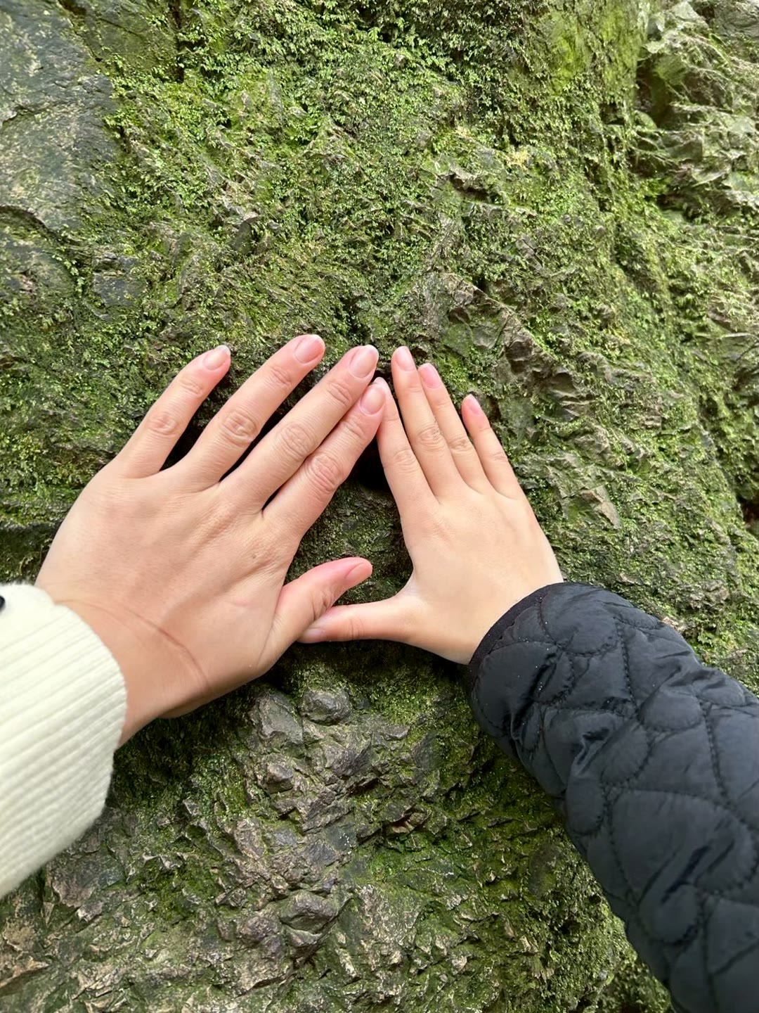 出雲大社・素鵞社の裏手にある八雲山の岩肌に、親子で手を当てている様子